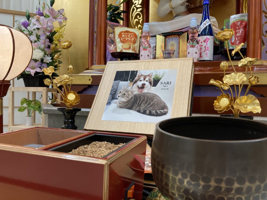 北九州のペット供養『ペット供養のがみ』による、猫と犬の遺影が並ぶ供養祭壇。火葬・納骨堂・永代供養・海洋散骨に対応しております。
